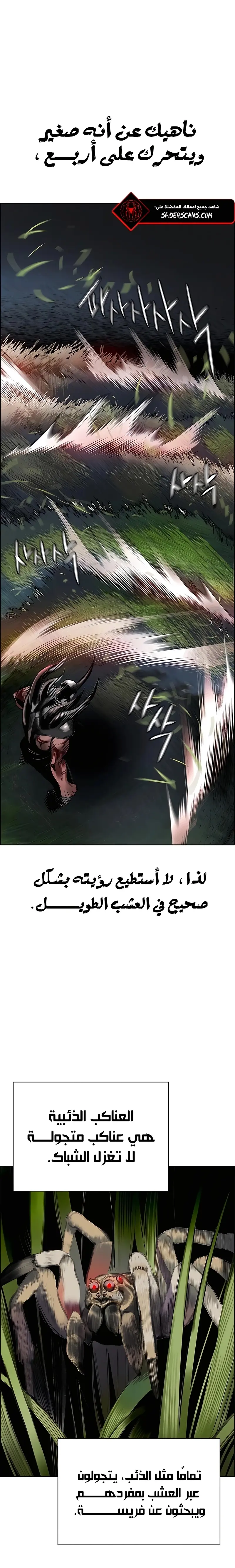 الصفحة 27