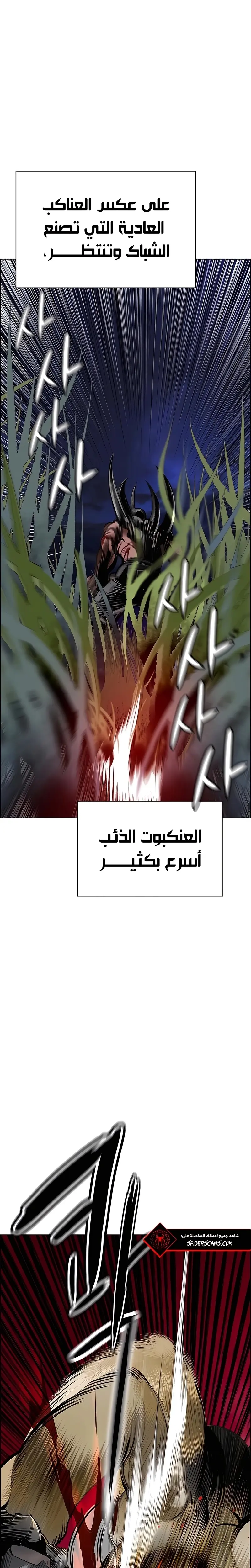 الصفحة 28