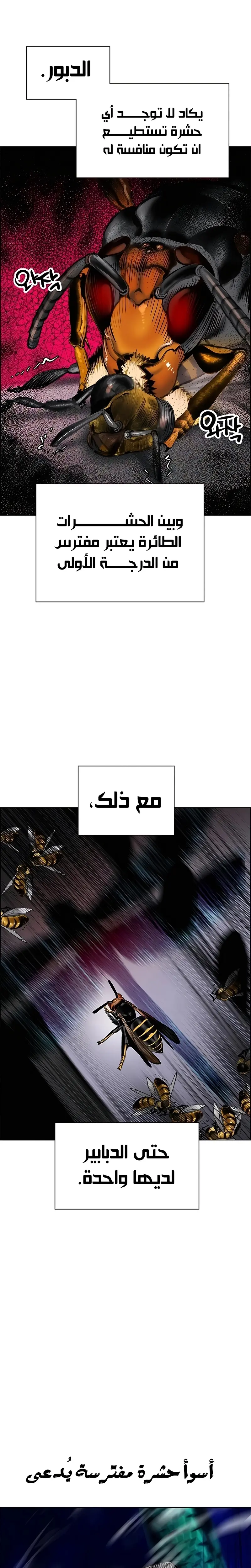 الصفحة 49