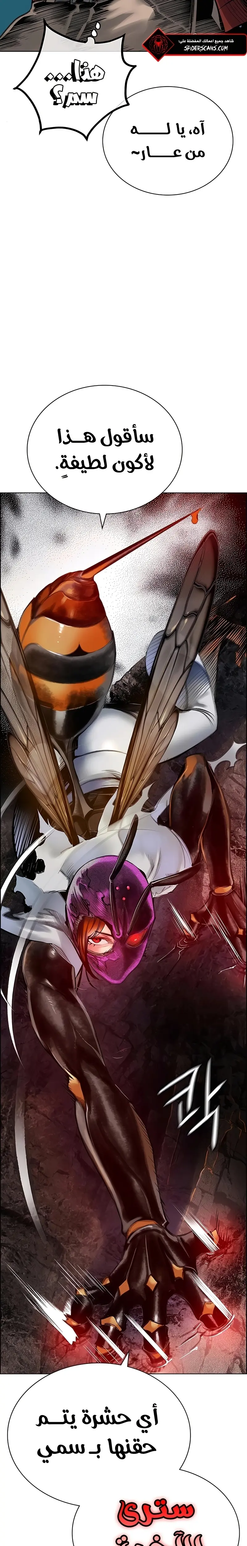 الصفحة 17
