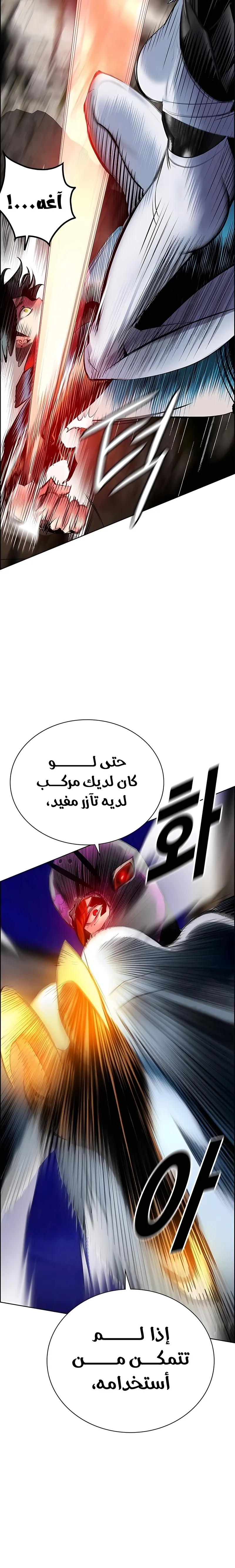 الصفحة 24