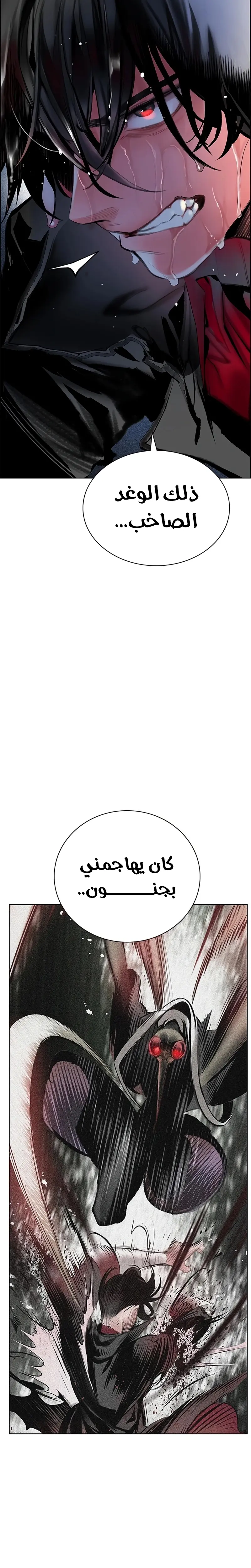 الصفحة 19