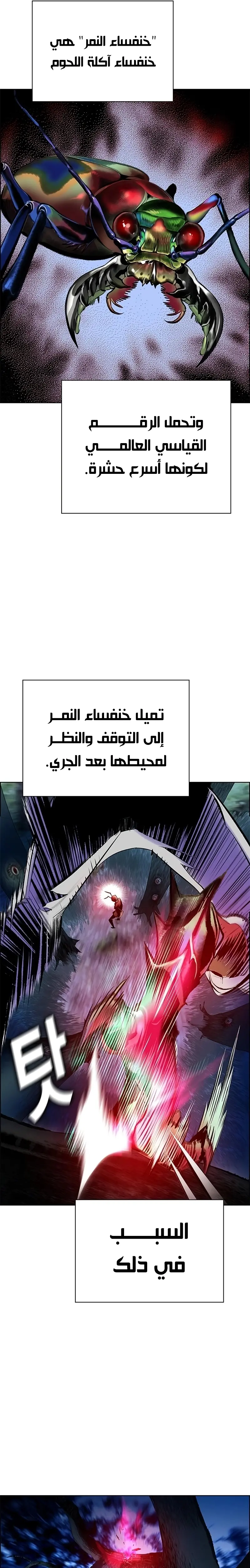 الصفحة 40