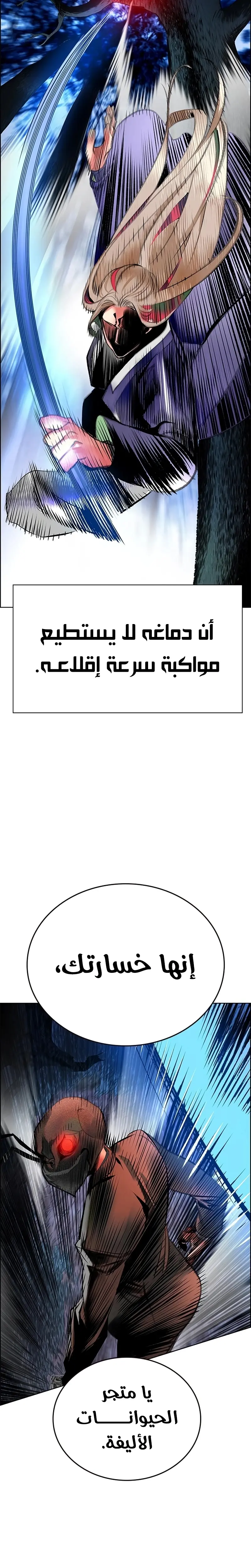 الصفحة 41