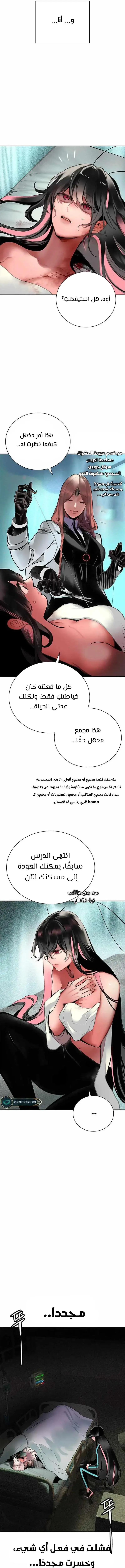 الصفحة 20