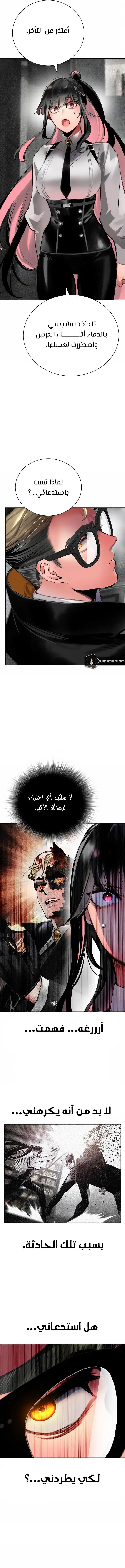 الصفحة 13