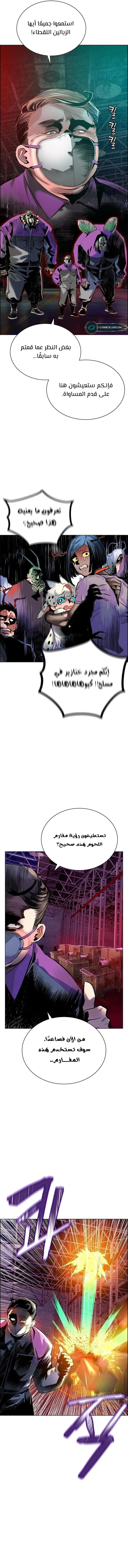 الصفحة 17