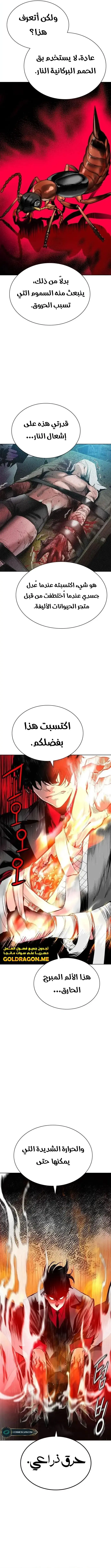 الصفحة 8