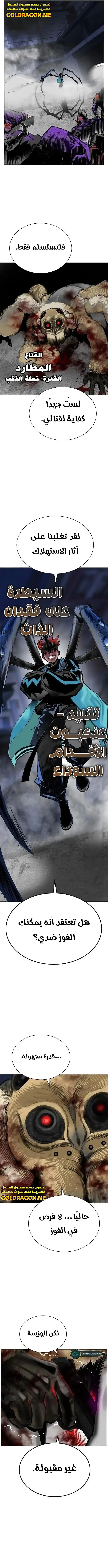 الصفحة 17