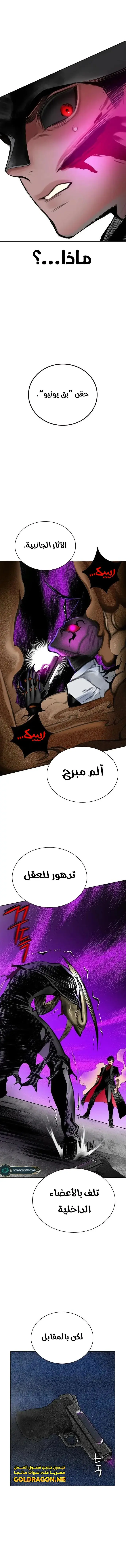 الصفحة 19