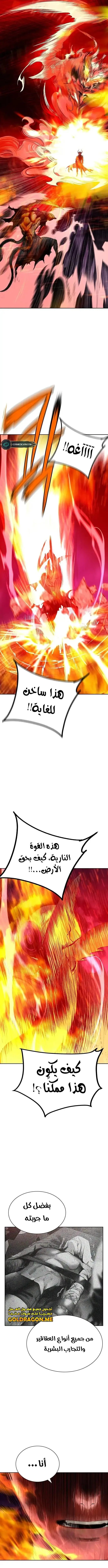 الصفحة 14