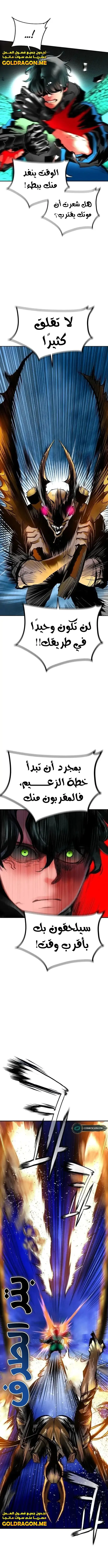 الصفحة 13