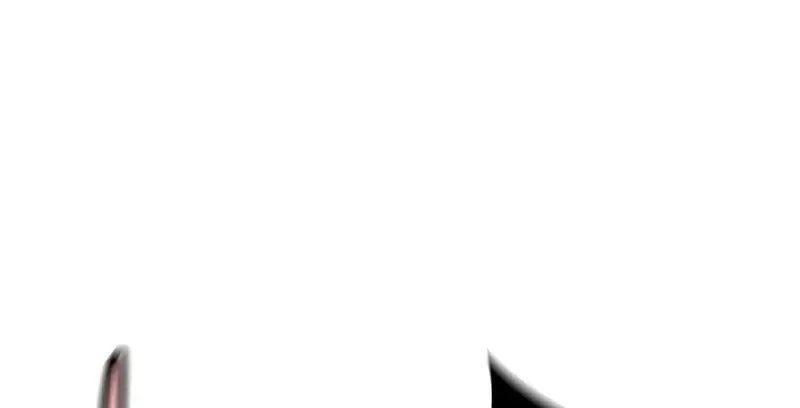الصفحة 48