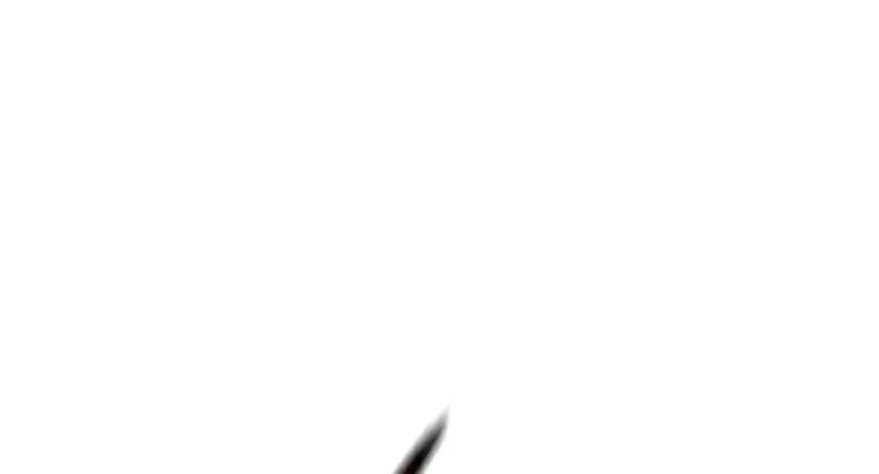 الصفحة 251
