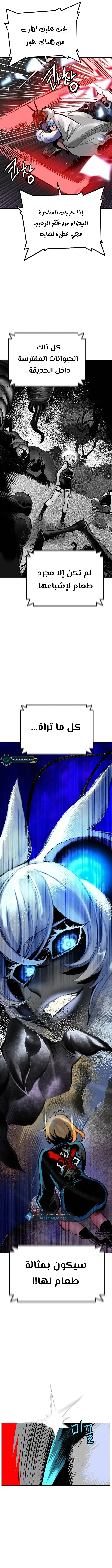 الصفحة 17