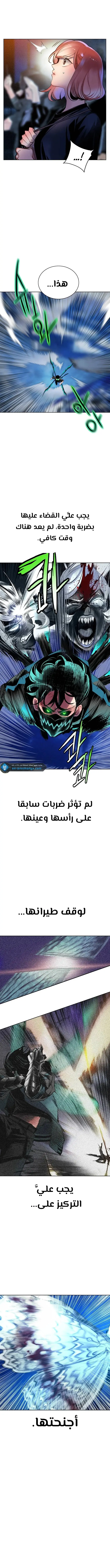 الصفحة 14