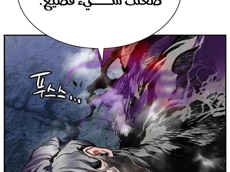 الصفحة 223