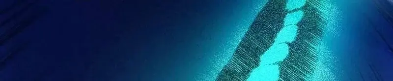 الصفحة 320
