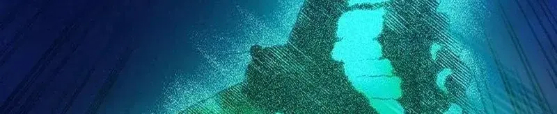 الصفحة 321
