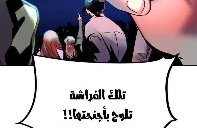 الصفحة 24