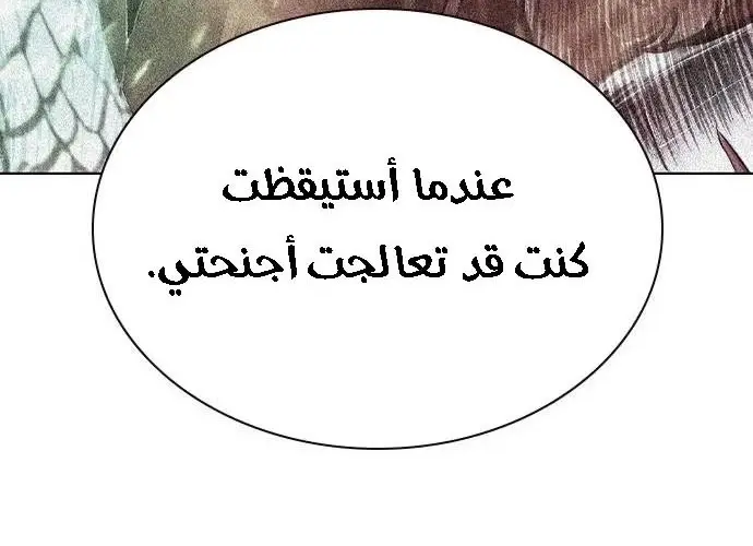 الصفحة 204