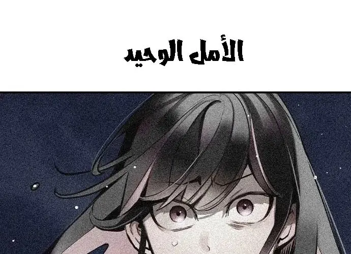الصفحة 255