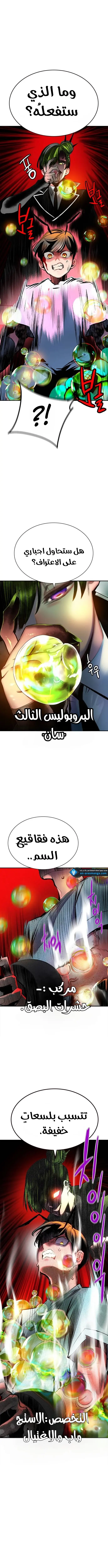الصفحة 11
