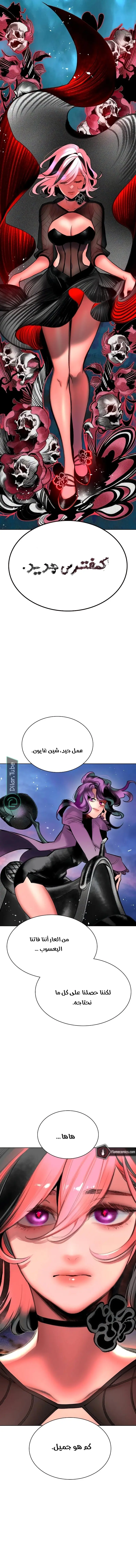 الصفحة 14