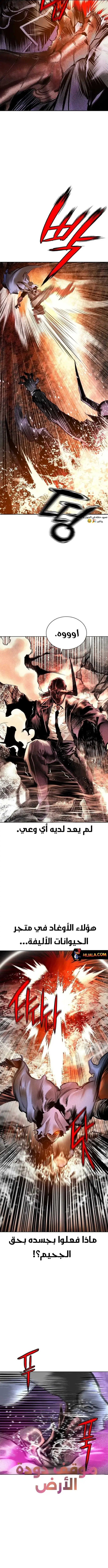 الصفحة 8