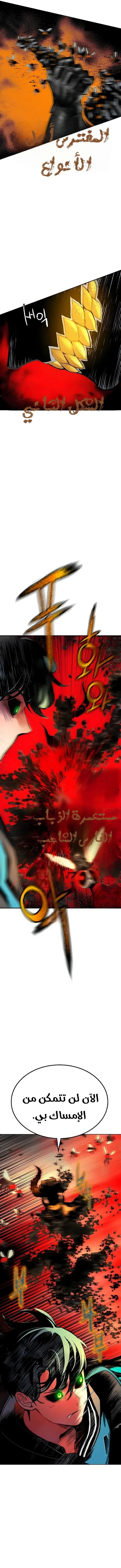الصفحة 13