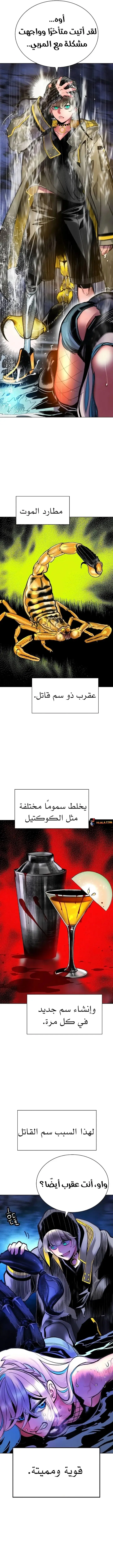 الصفحة 16