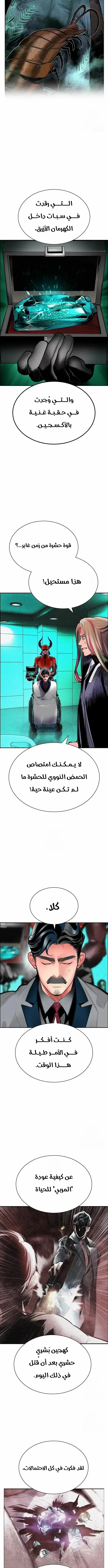 الصفحة 13
