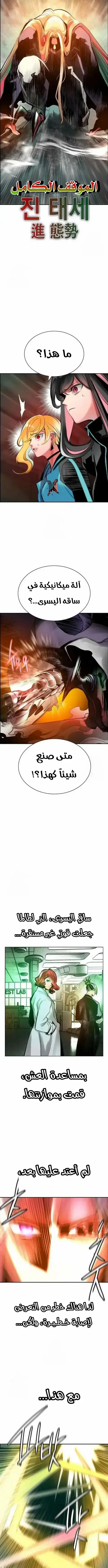 الصفحة 17