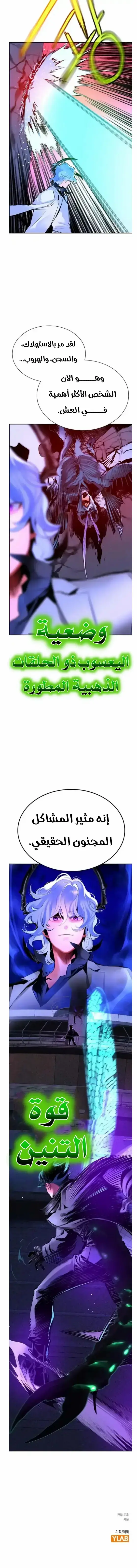 الصفحة 17