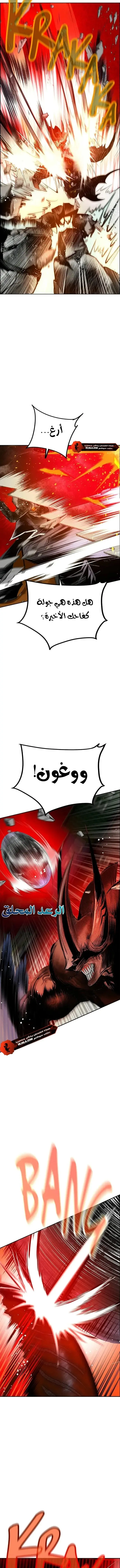 الصفحة 17