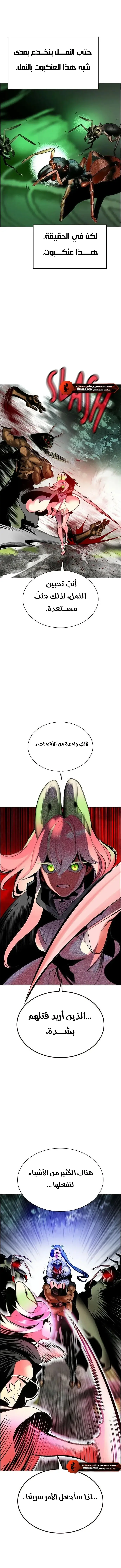الصفحة 21
