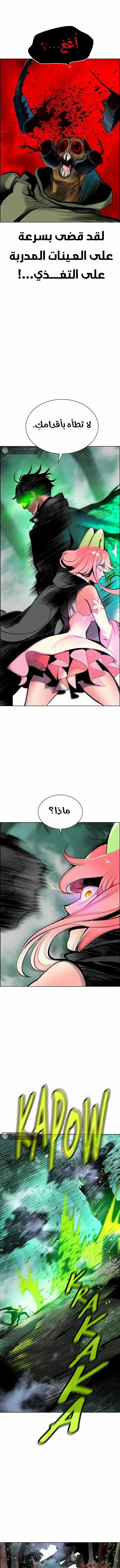 الصفحة 11