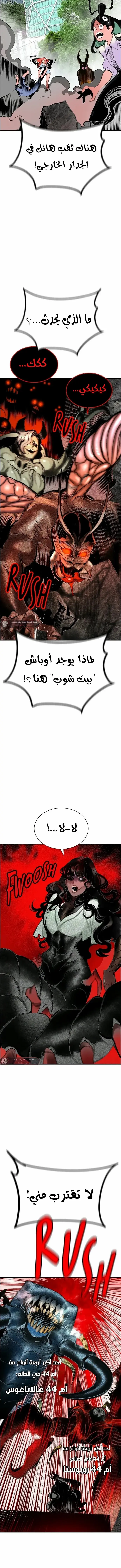 الصفحة 17