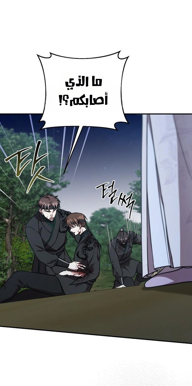 الصفحة 17