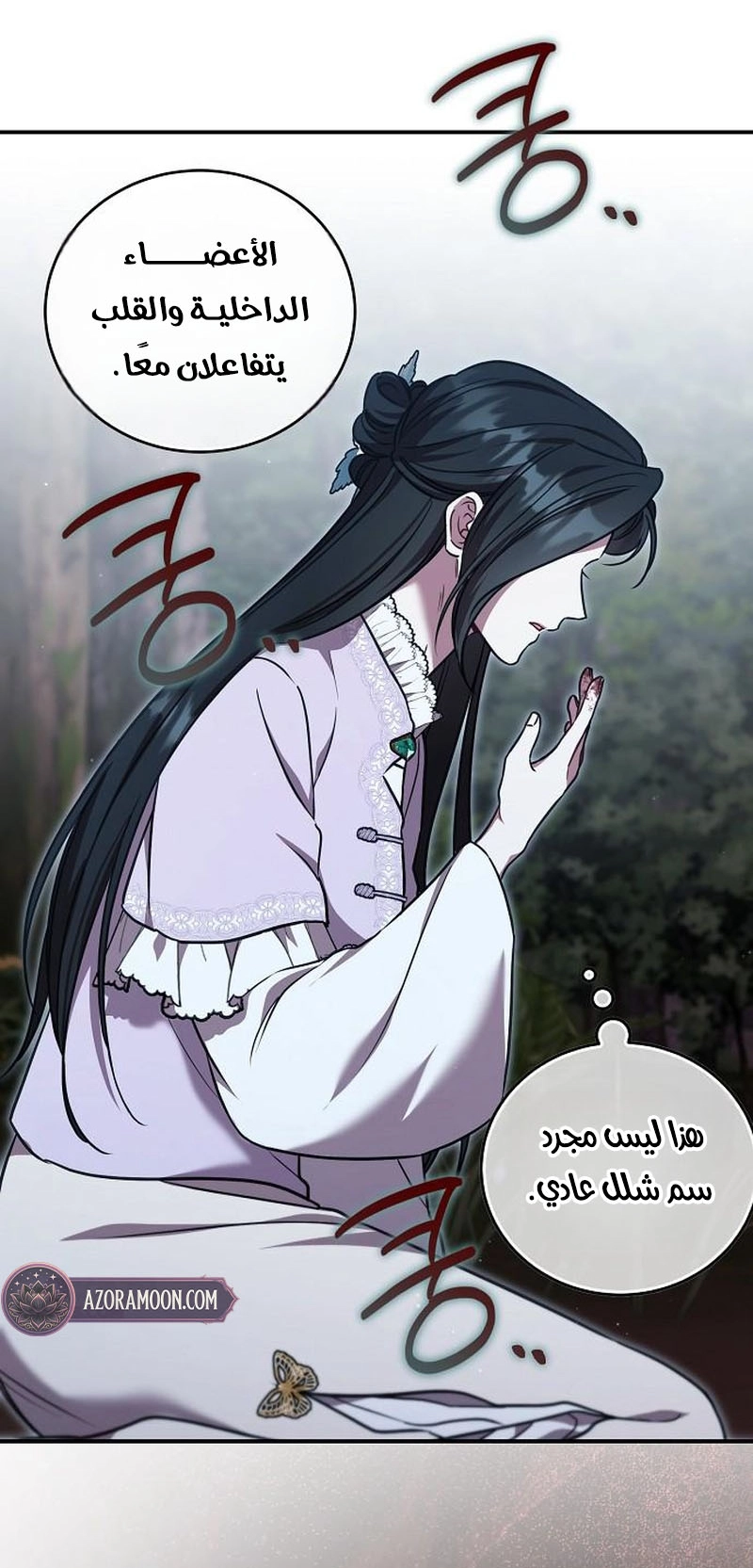 الصفحة 25