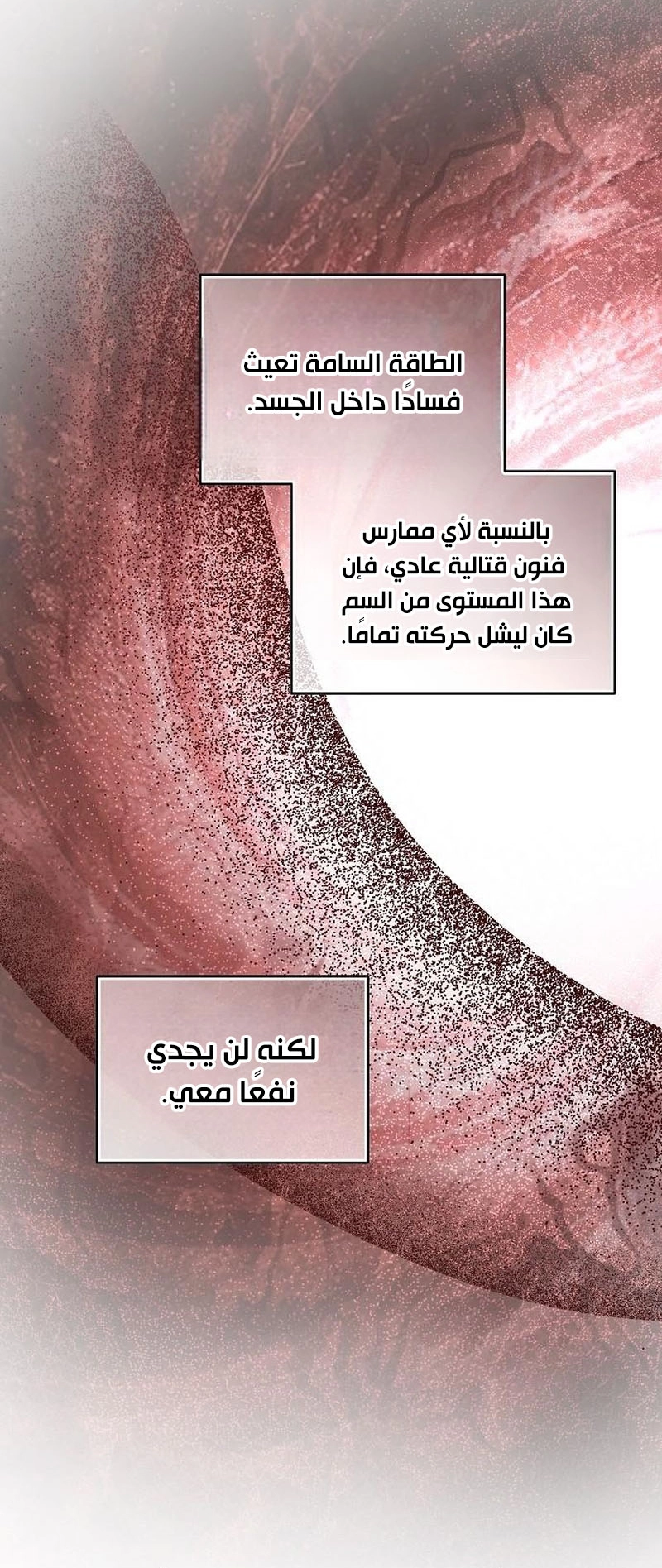 الصفحة 26