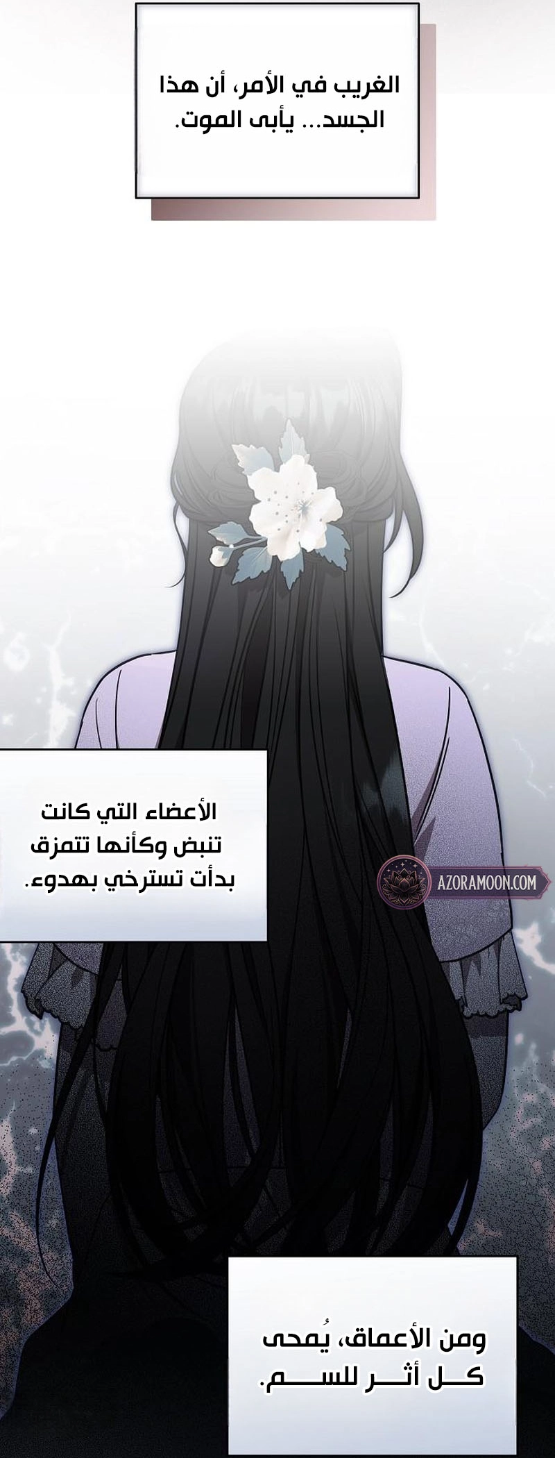الصفحة 27