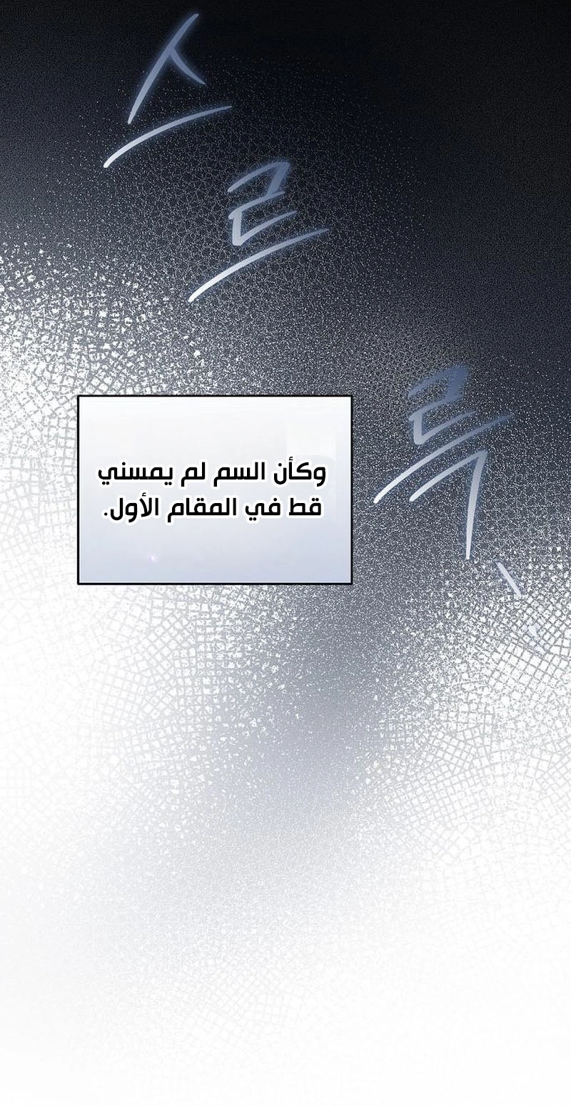 الصفحة 28