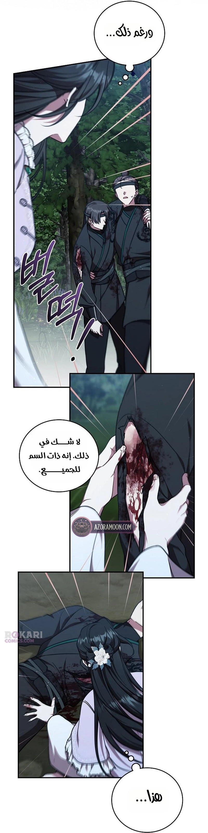 الصفحة 29