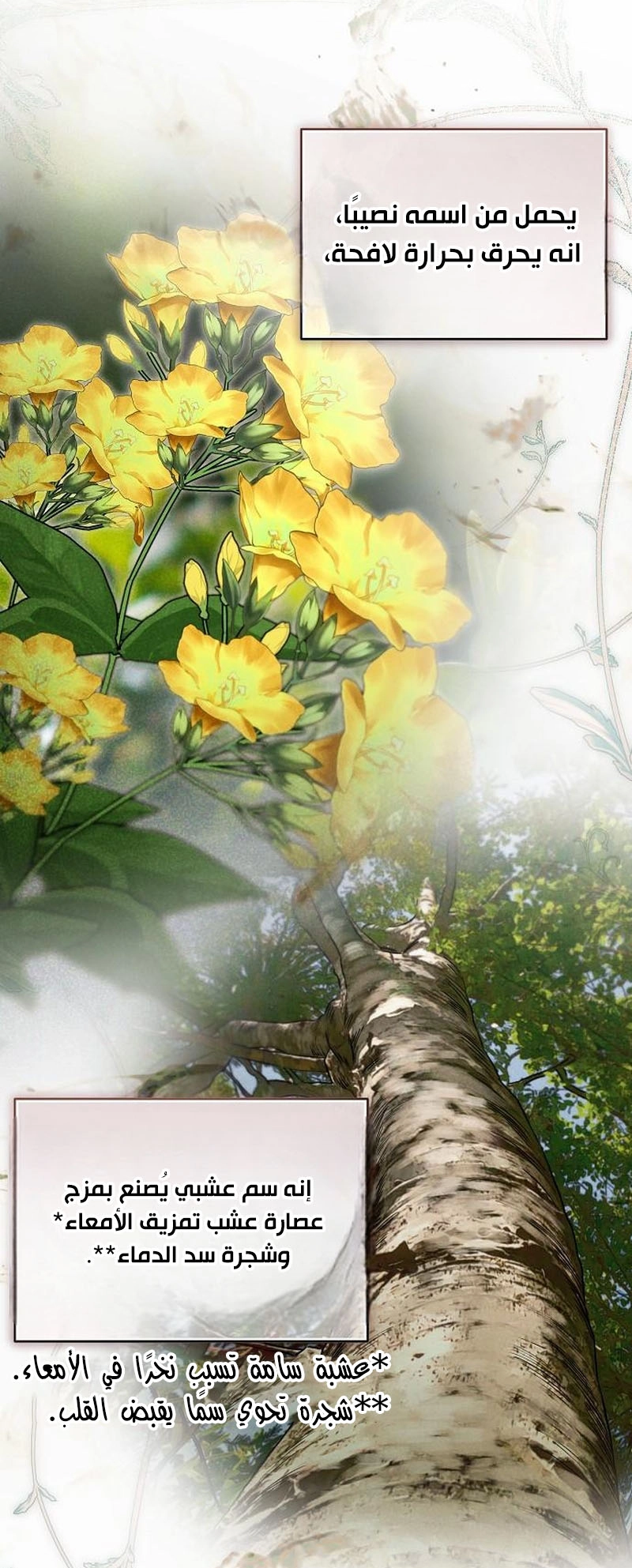 الصفحة 31