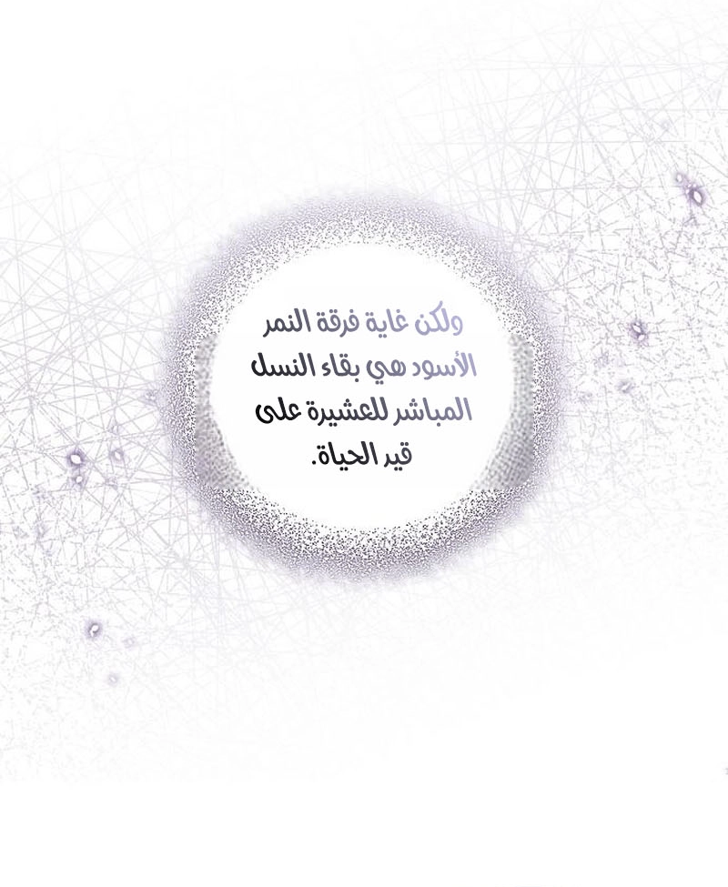 الصفحة 37