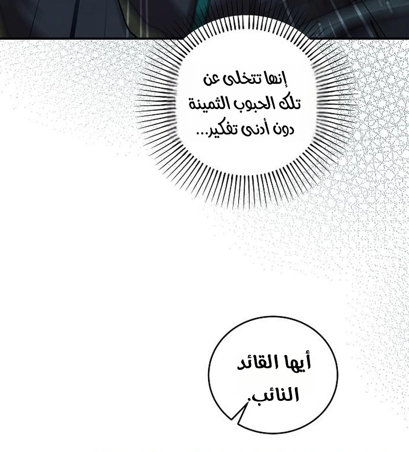 الصفحة 45
