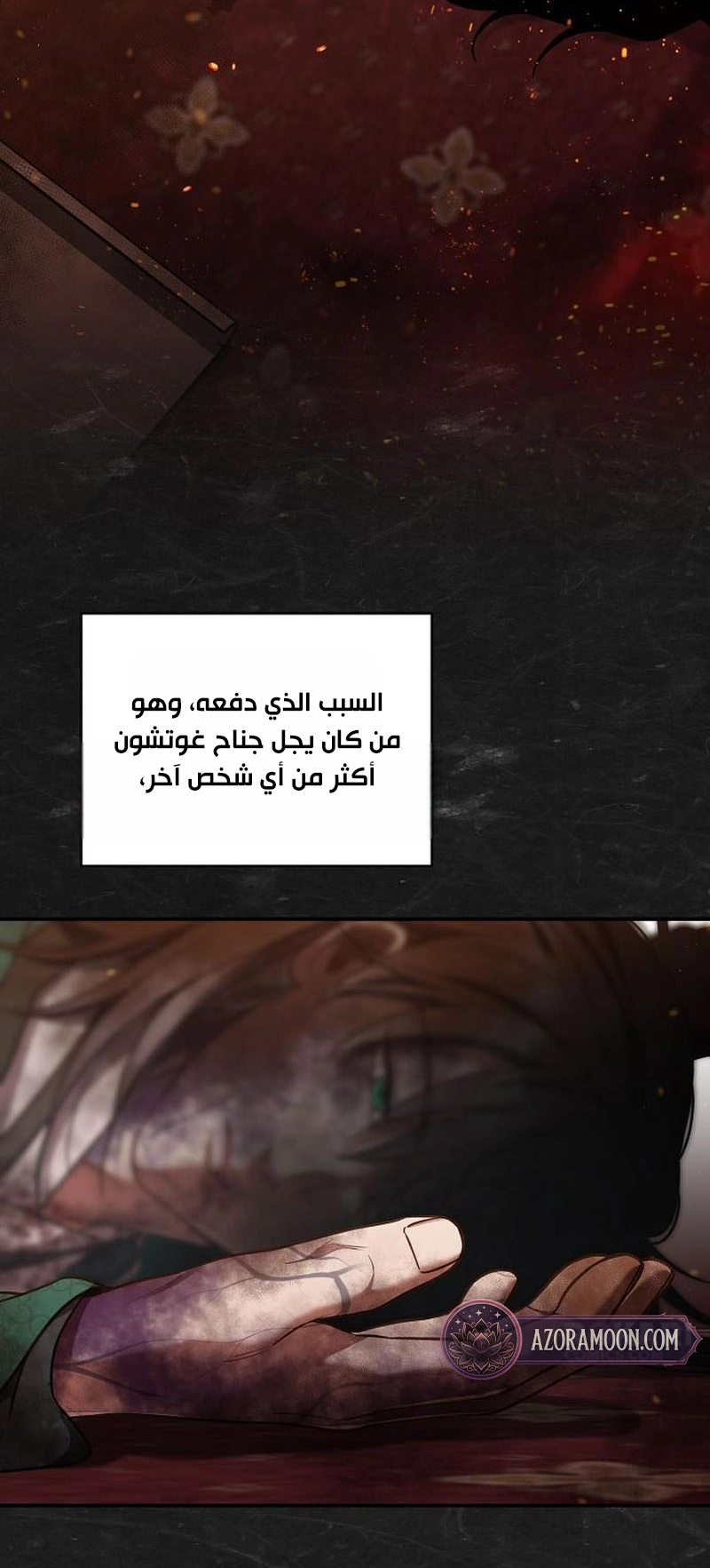 الصفحة 13