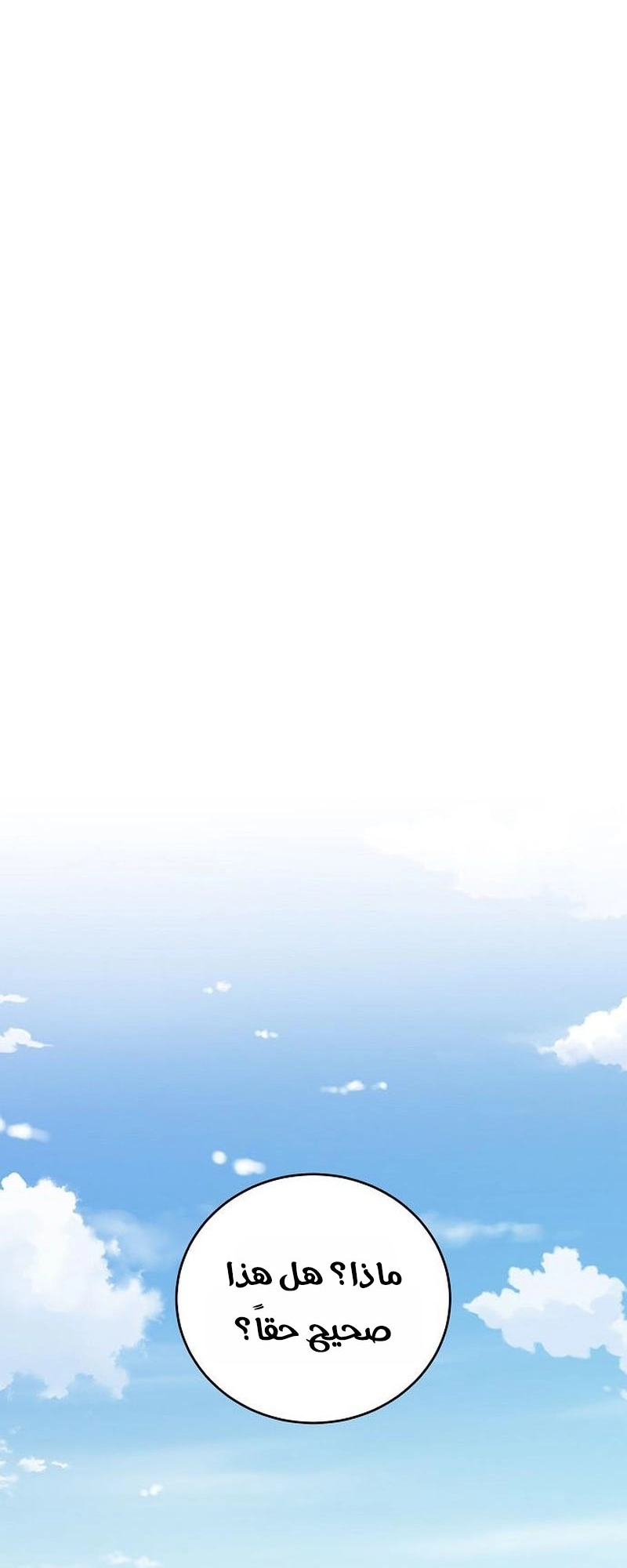 الصفحة 29