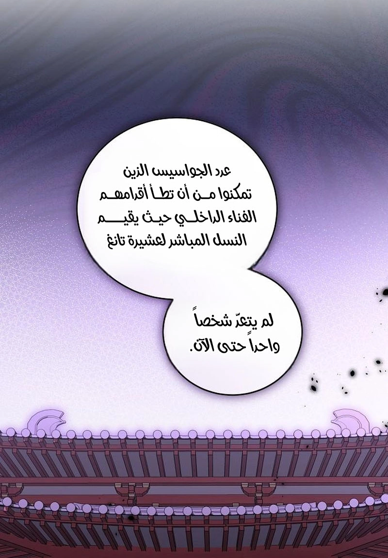 الصفحة 38